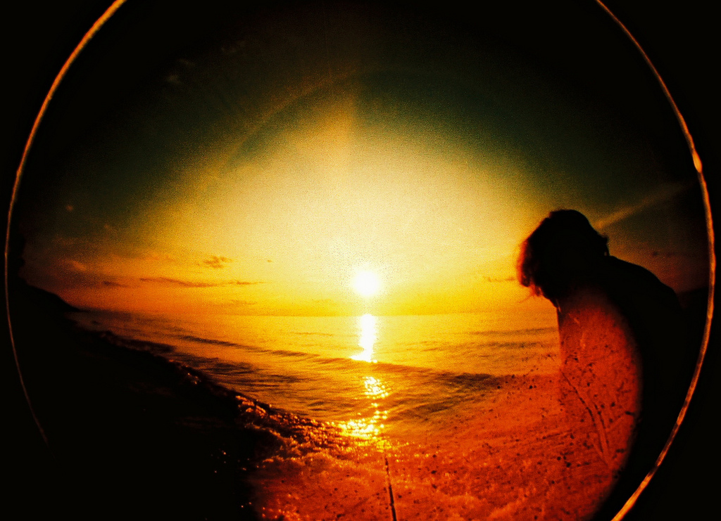 3797236989_f9862da156_b