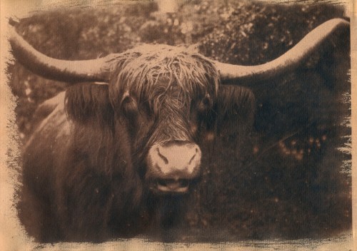 16329692546_d3ebecfef8_k