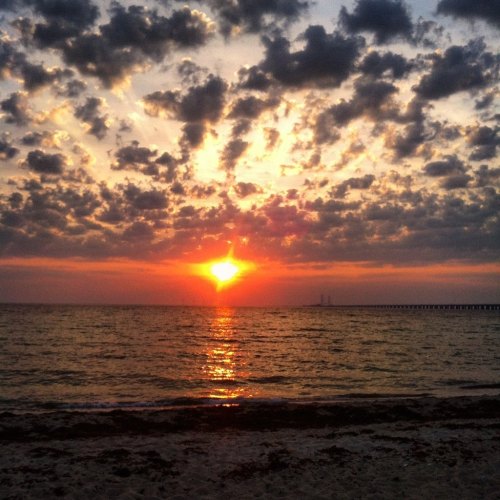 12017431_790931621037168_3438506499787650927_o