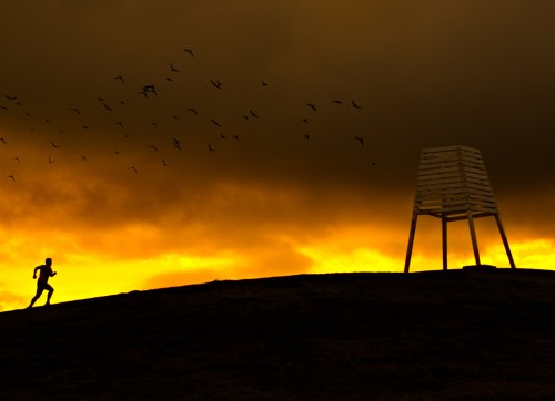 2246017748_640eff414b_b