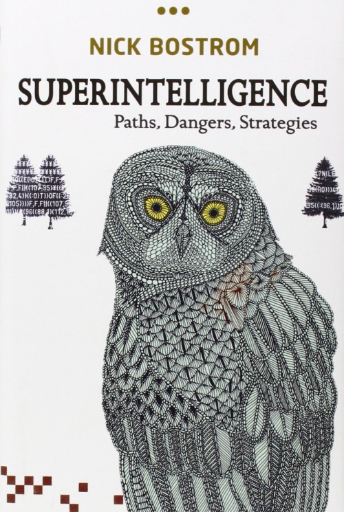superintelligence-paths_dangers_strategies